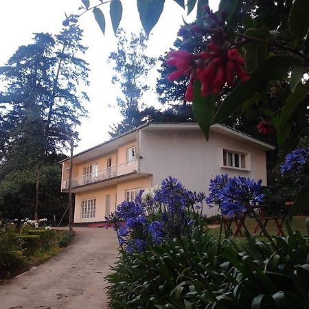 Park View Guest House ヌワラ・エリヤ エクステリア 写真