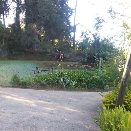 Park View Guest House ヌワラ・エリヤ エクステリア 写真
