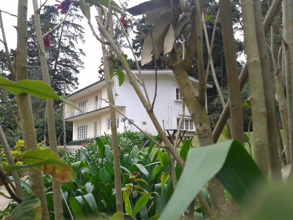 Park View Guest House ヌワラ・エリヤ エクステリア 写真