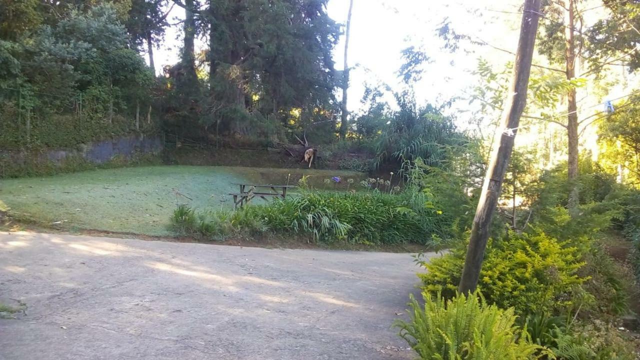Park View Guest House ヌワラ・エリヤ エクステリア 写真